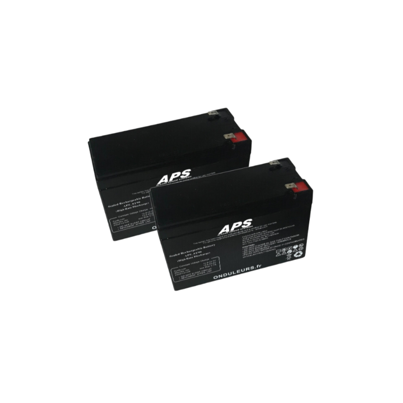 BAT549 - Kit batteries pour onduleur APC Back-UPS 1100 VA BX1100CI