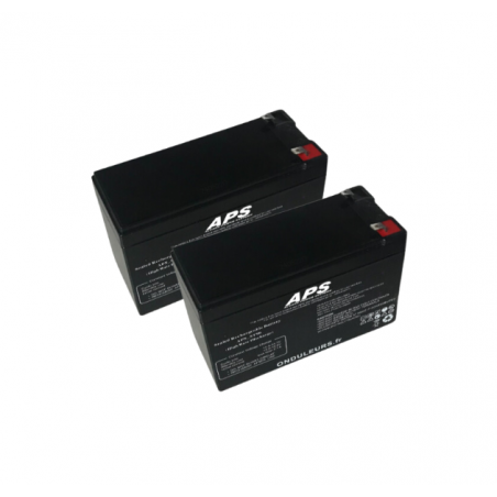 BATA139 - Kit batteries pour onduleur RIELLO UPS DVD 1500 VA