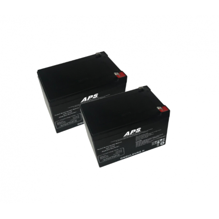 BAT514 - Kit batteries pour onduleur APC Smart-UPS 1000 (RBC6)