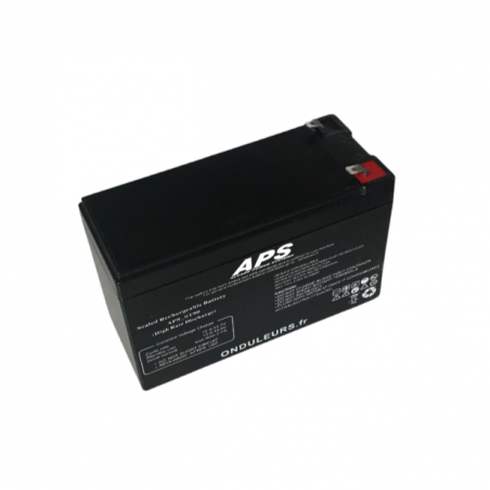 BATS217 - Kit batterie pour onduleur SELFPROTEC Mistral 1000 STE
